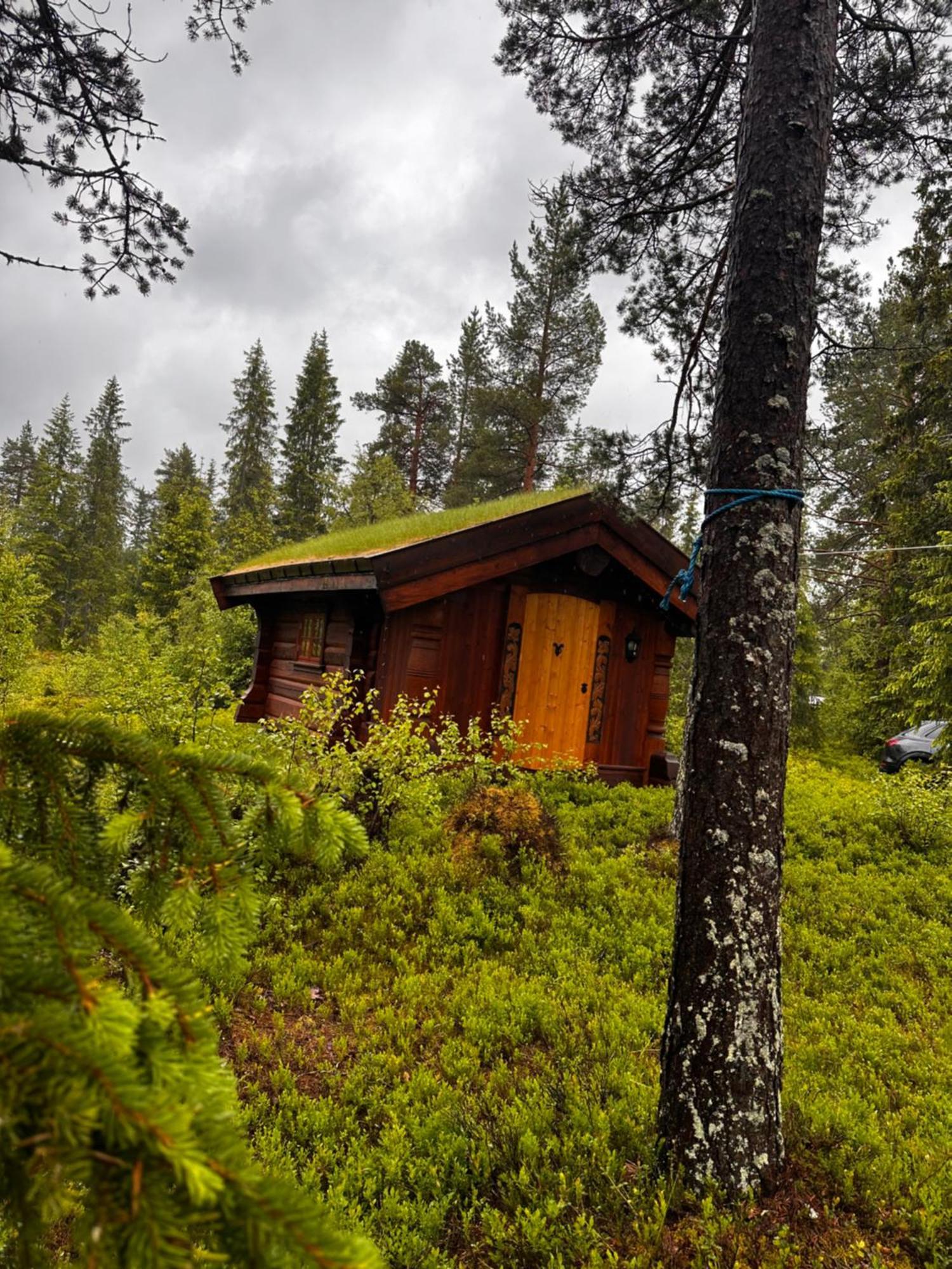 Hytta Pa Oyfjell Villa Exterior foto