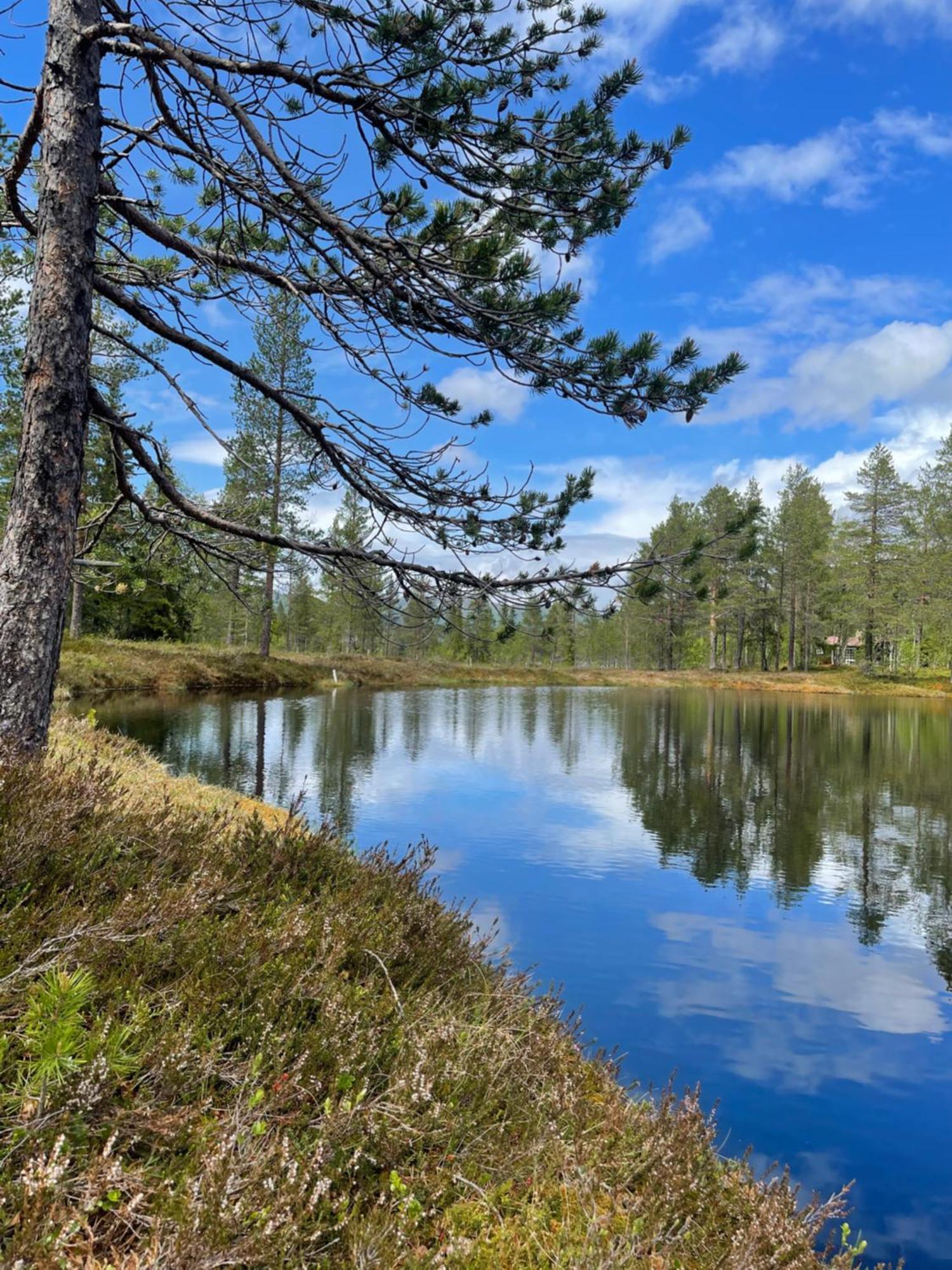 Hytta Pa Oyfjell Villa Exterior foto