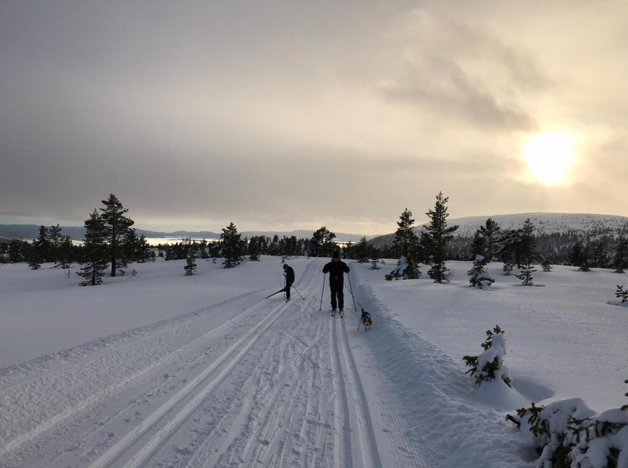 Hytta Pa Oyfjell Villa Exterior foto