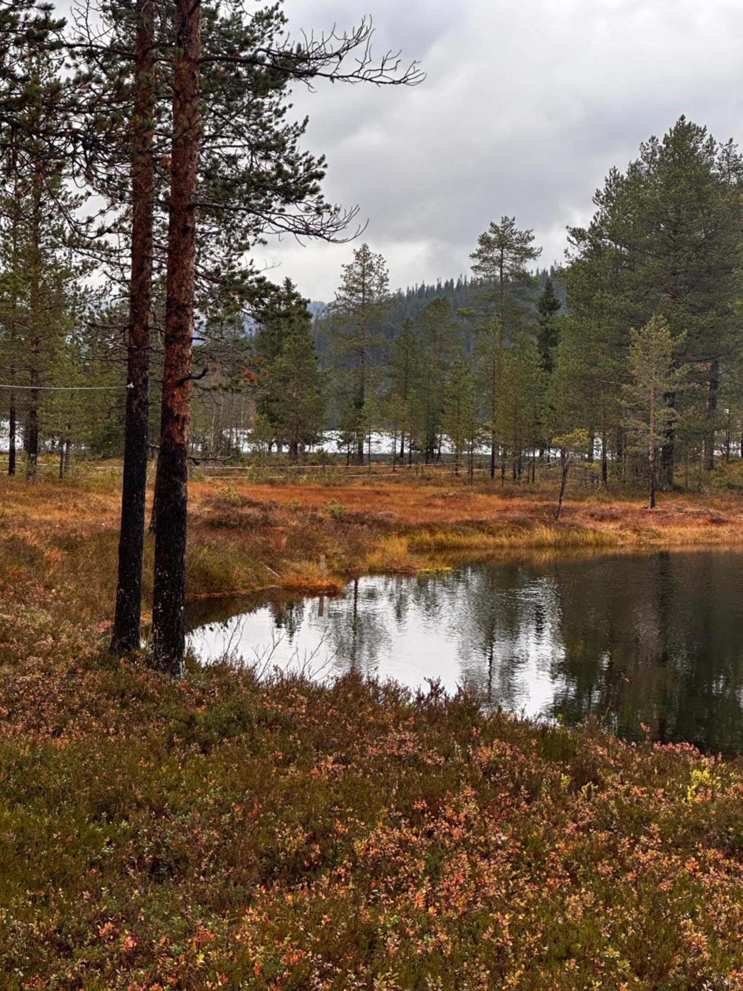 Hytta Pa Oyfjell Villa Exterior foto
